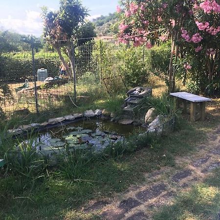 Apartament Le Rose , Relax In Casolare Del 1700 Sarzana Zewnętrze zdjęcie