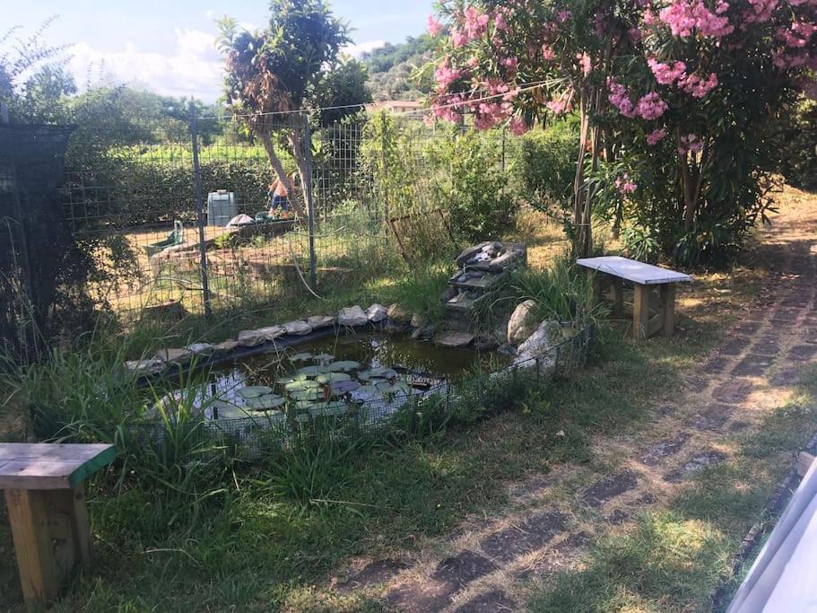 Apartament Le Rose , Relax In Casolare Del 1700 Sarzana Zewnętrze zdjęcie